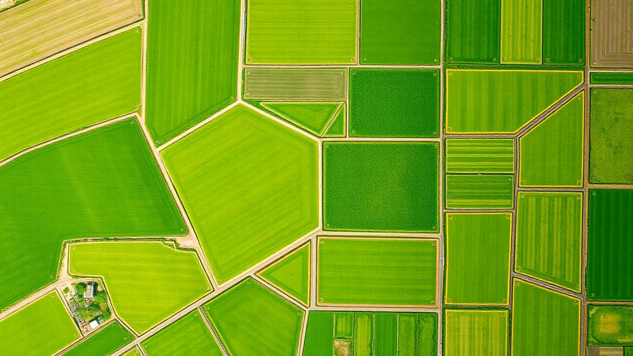 Crop Planning Optimization